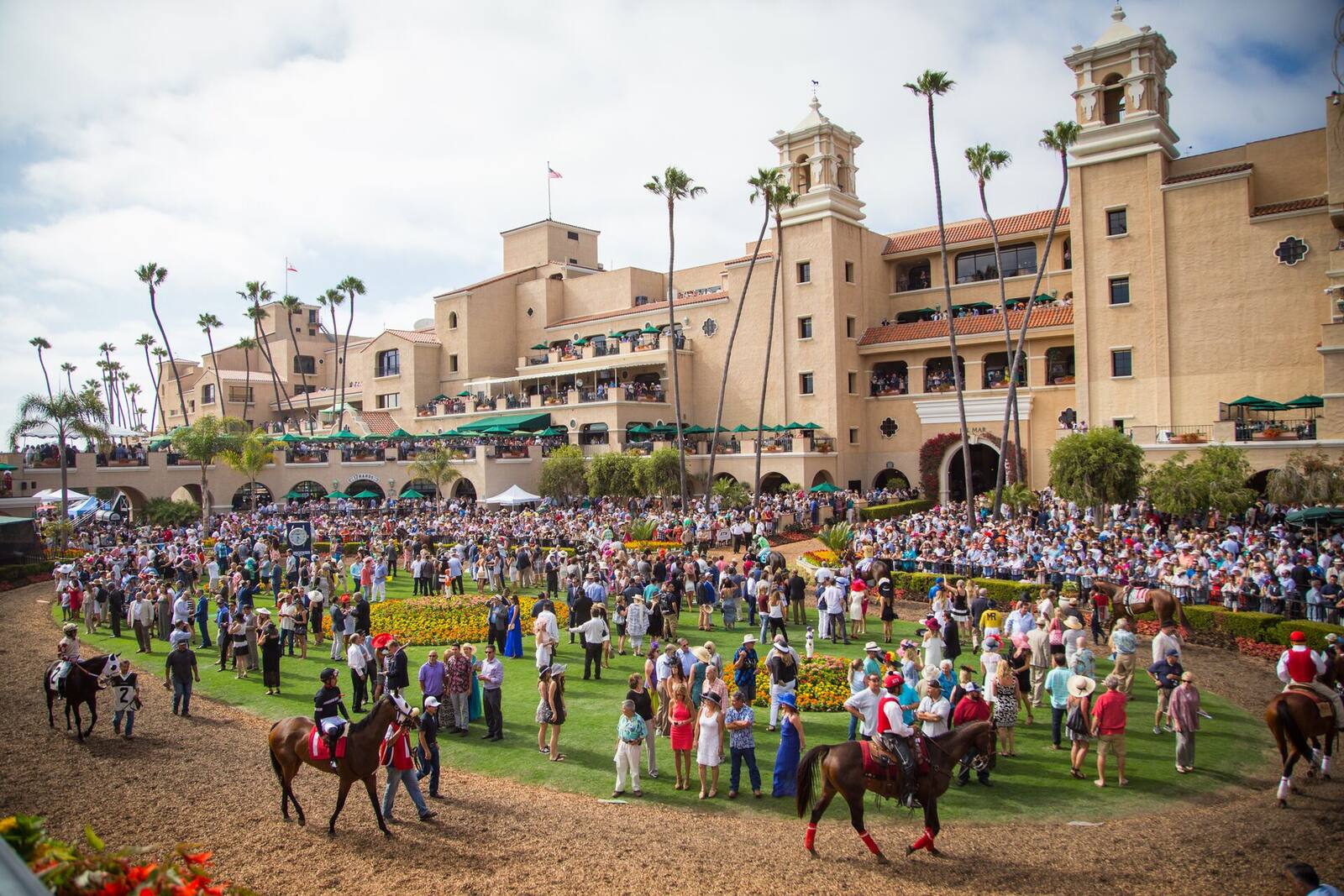 Horses walking the Del Mar paddock before a race